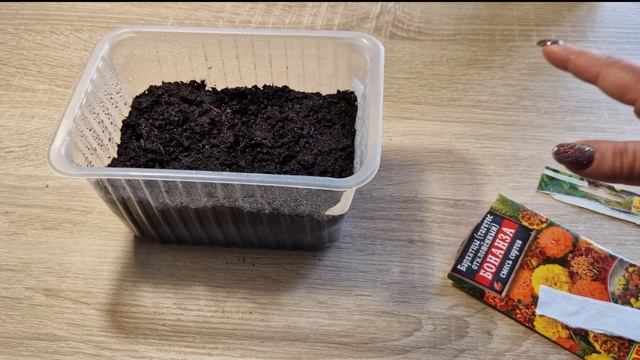 Как сажать бархатцы. Сажаем бархатцы семенами.