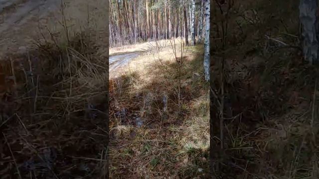 разведка продолжение 4