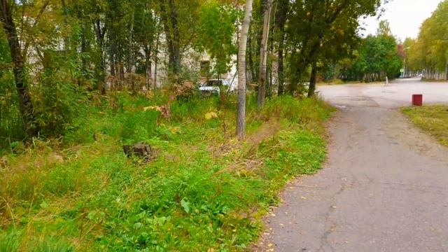 САМВЕЛ УПИВАЕТСЯ ВЛАСТЬЮ НАД Т.В. смотреть онлайн