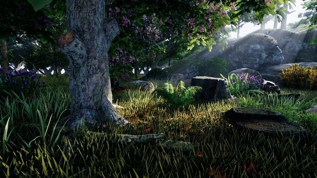 Morning Forest | 3DS Max | Lumion 10 pro смотреть онлайн