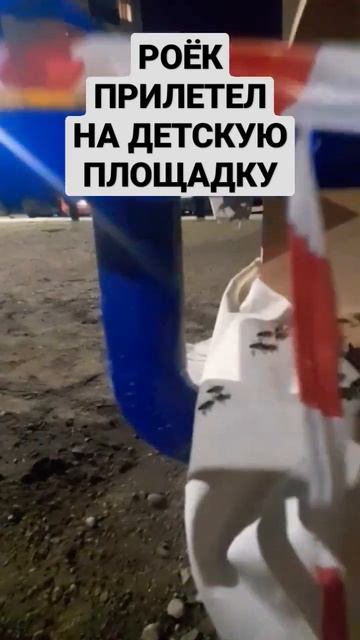 Снимаю маленький рой на детской площадке 15.05.2023 #пчеловодство #роеловство #пчелы #рой #пасека смотреть онлайн