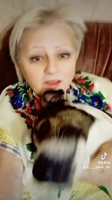 Я понимаю,что должна цвести сирень#shorts #short#спасибо#спасибо_за_подписку_и_ваш_лайк смотреть онлайн