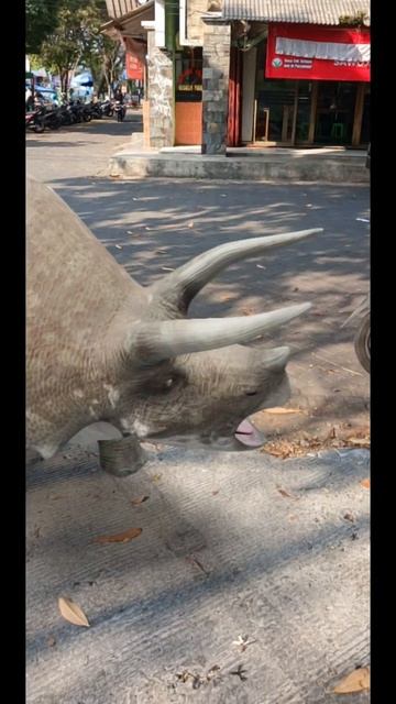 Ada Triceratop Di Pinggir Jalan #dino #dinosaurus #triceratops #animals
