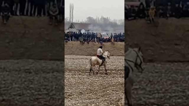 Бузкаши улок копкари 2022  самий дороже лошадь🐎 125000 $ ТОП  🔟 томоша килинг