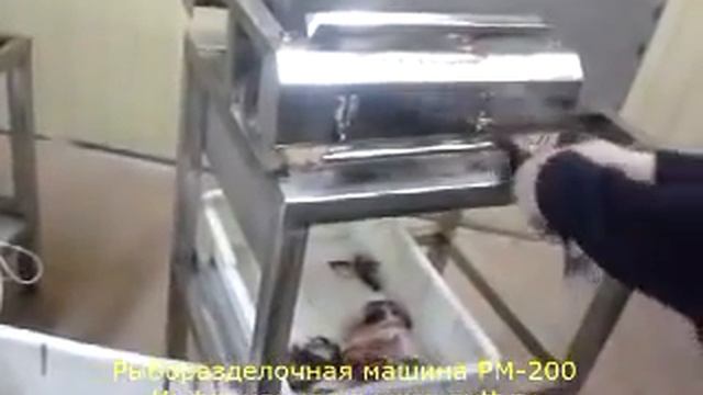 Рыборазделочная машина РМ-200 смотреть онлайн