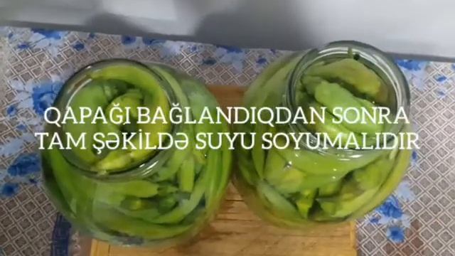 ACI BİBƏR TURŞUSU 👌