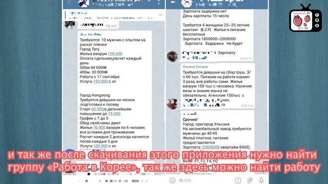 Как найти работу в Корее? | Кореяда жұмысты қайда қалай табуға болады? | РАБОТА В КОРЕЕ 2019 смотреть онлайн