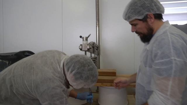 Семинар по сыроделию смотреть онлайн