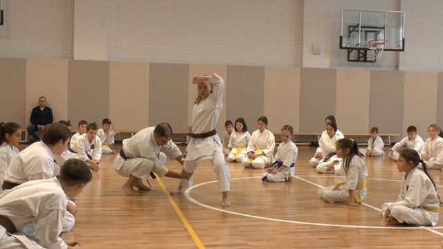 СК "БУДО" техника каратэ смотреть онлайн