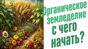 Органическое земледелие. С чего начать?