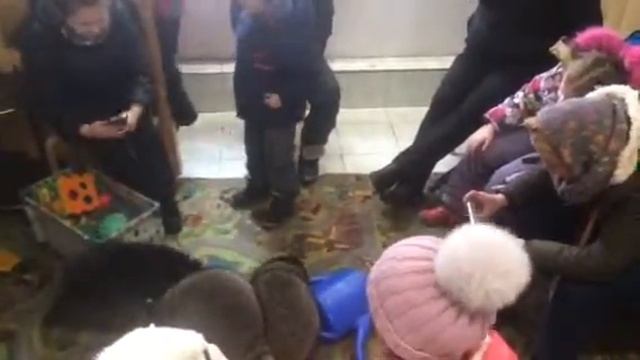 Дети в гостях у енотов смотреть онлайн