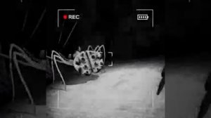 content warning Снова с Богданом и Олегом!