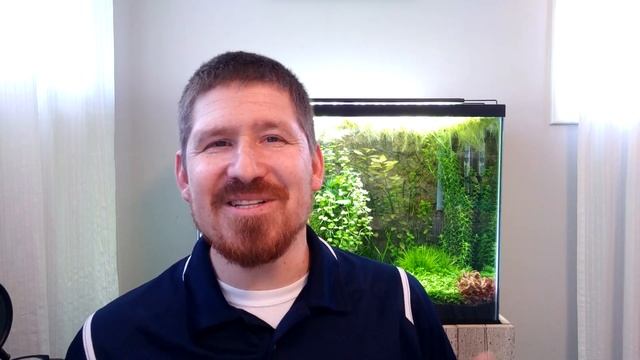 Three Plant Species for an African Cichlid Tank | Planted African Cichlid Tank смотреть онлайн