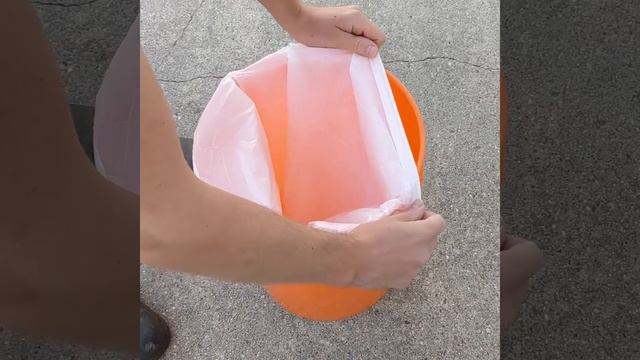 Cheap and Effective Cat Litter Box System using Wood Pellets смотреть онлайн
