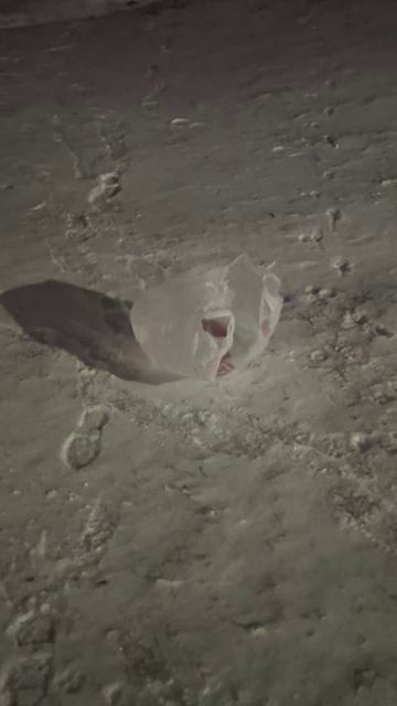 пакет путешественник (промо) смотреть онлайн