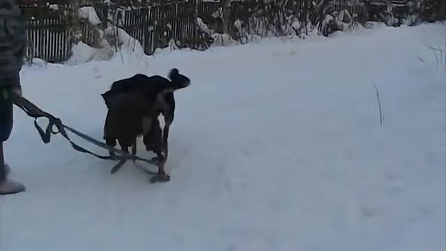 MOV047 смотреть онлайн