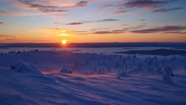 Сказочный лес смотреть онлайн