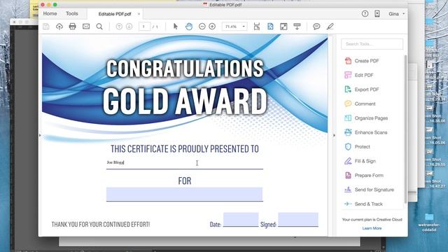 Create an editable PDF with formatted text fields in Adobe InDesign and Acrobat смотреть онлайн