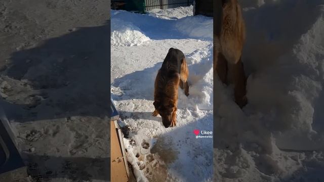 Последний денек февраля смотреть онлайн