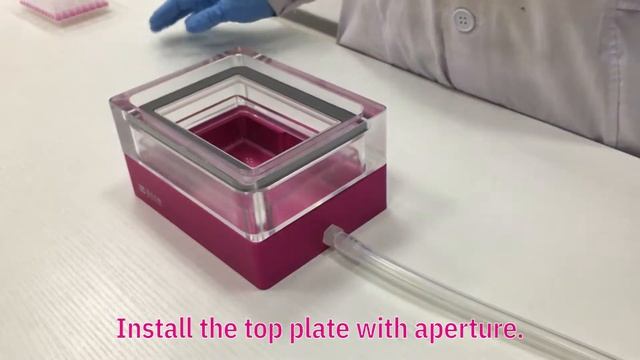 Using Universal Vacuum Manifolds for Nucleic Acid Purification смотреть онлайн