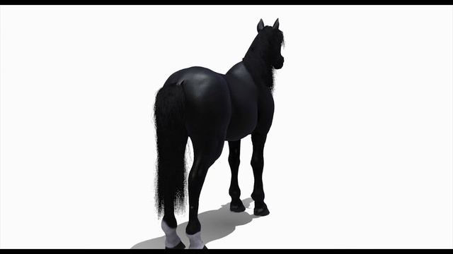 Black Horse 3D Model for Download: 3Ds Max 2016 смотреть онлайн