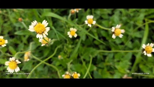 All Interest Harmonic Test Tone MP4 AAC 96kss 4608kbps setting смотреть онлайн