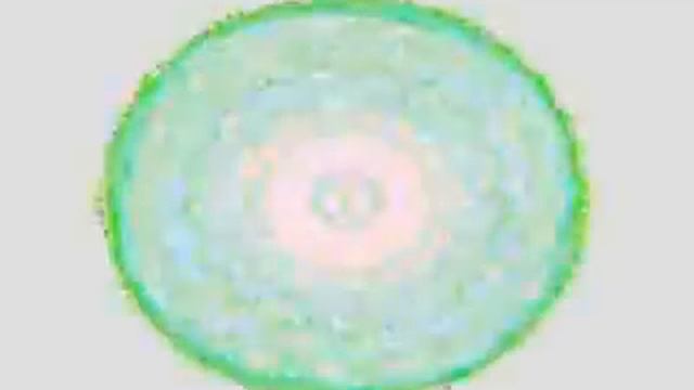 Ravencholy (original music in stereo) смотреть онлайн