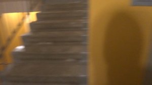 Пассажирский лифт (г. Балашиха), V=1 м-с, г-п 400 кг (81)