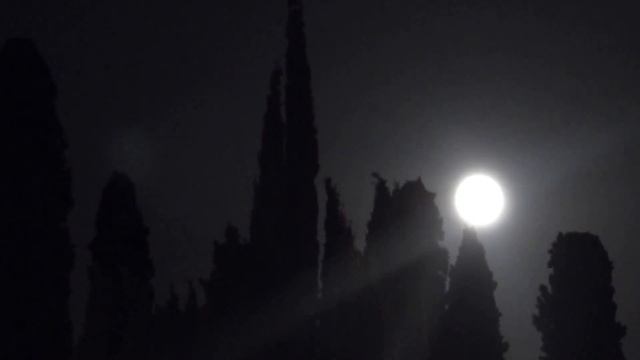 Zaz Zetoun Mind - Crepuscular Bacio смотреть онлайн
