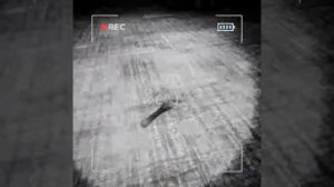 content warning Богдан и Олег 2