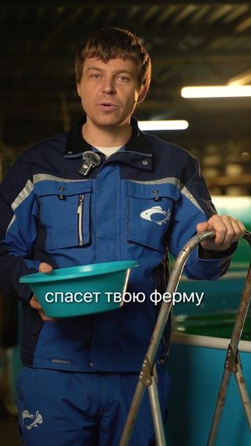 Если бы я знал это раньше... #рыба #рыбалка #узв #бизнес #бизнесидеи #бизнесснуля #рыбоводство смотреть онлайн