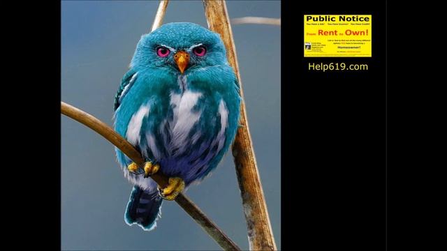 Network! From Rent To Own, San Diego! Golden! Smarter. Bolder. Faster.