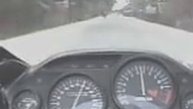 ZX-11 and the Bohol Run смотреть онлайн
