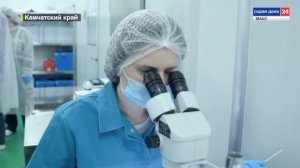 На Камчатке запустили производство полезного Омега-3 из голов дикого лосося