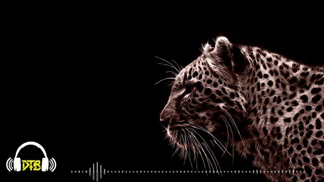 [House] M3H - Jaguar