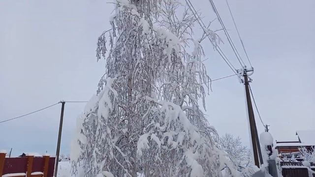 8ч🌹Купили дом на Юге/Завалило снегом Краснодарский край/Закончили прихожую/ смотреть онлайн