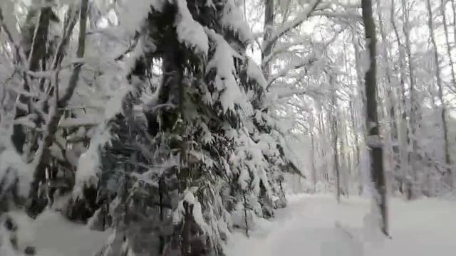 Stek Snowboard - КоняевоPark.