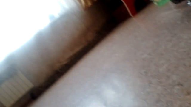 СЛОВО АРЧИ-ВКУСНЯШКИ НА ОСВАЛЬТЕ. ПОНЧИК СЛОВО АРЧИ. смотреть онлайн