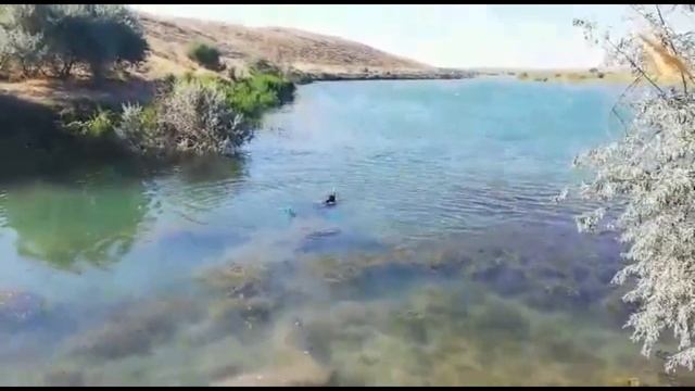 ПОКАТУШКИ НА р.ИЛИ И КАПЧАГАЙ смотреть онлайн