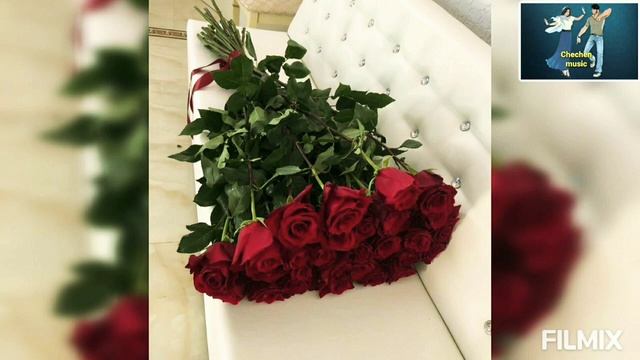 Цхьа безам бара сан Марьям Ташаева & Ислам Джамалдинов смотреть онлайн