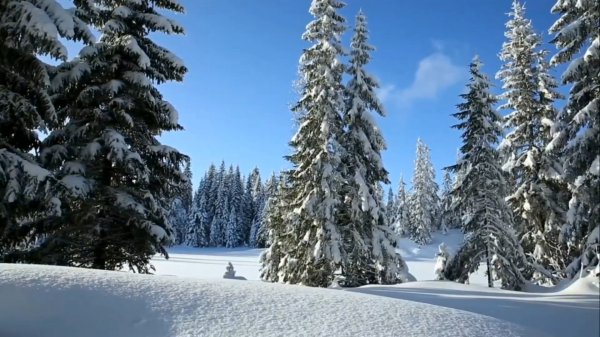 Музыка для души.