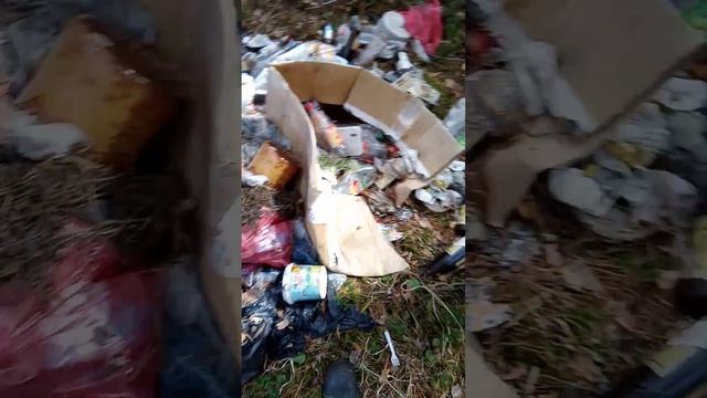 Мусор в лесу возле трассы Р-257 в селе Ермаковское, 06.04.2022