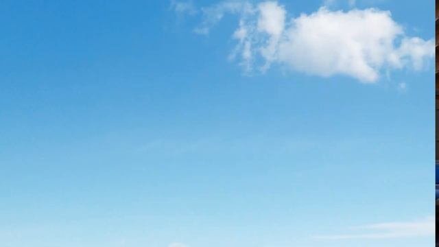 Человейник для ... Выбор дома в котором жить.