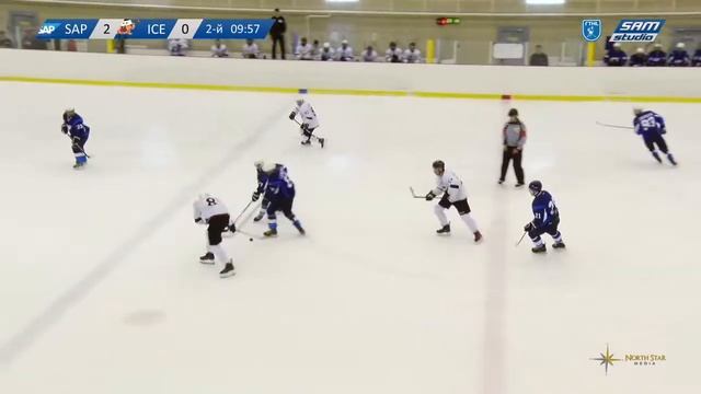 SAP-2  —  Ice Hooligans