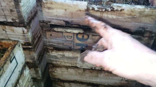 Состояние навозного червя в ящиках и стеллажах на 1 марта 2025г. смотреть онлайн