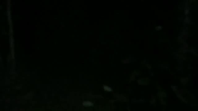 Страшная история💀 - не ходите ночью в лес!!! смотреть онлайн