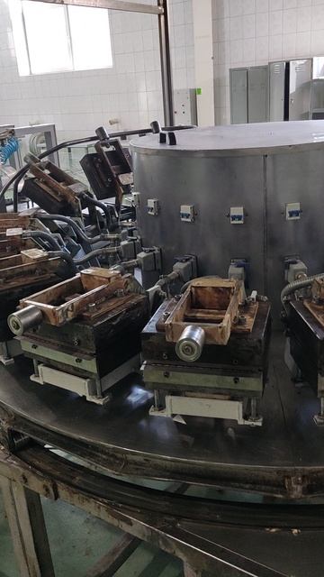 VID_20250227_111555.mp4