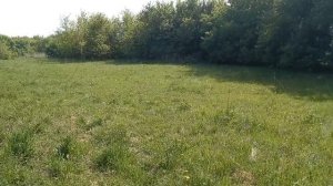 Эта деревня радует находками!!!