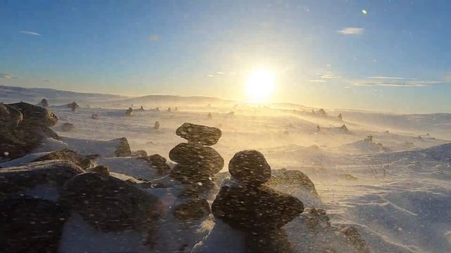 Дыхание Арктики смотреть онлайн