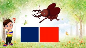 Звук и буква Ж (занятие №30 по подготовке к обучению грамоте в старшей группе от 5 до 6 лет)